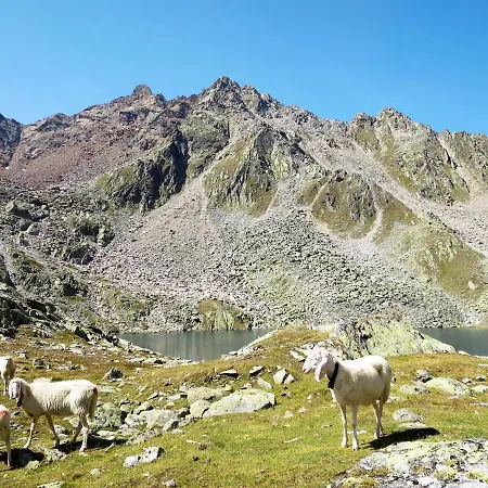 Scheiber By Interhome Apartman *