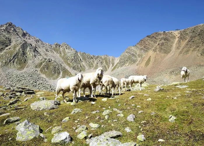 Appartement Scheiber By Interhome *